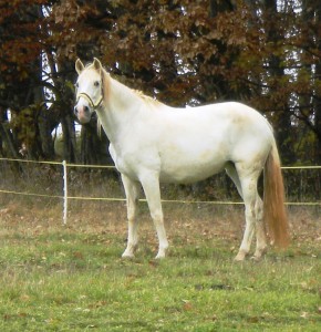 dscn3223.jpg