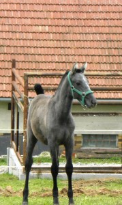 dscn3233.jpg